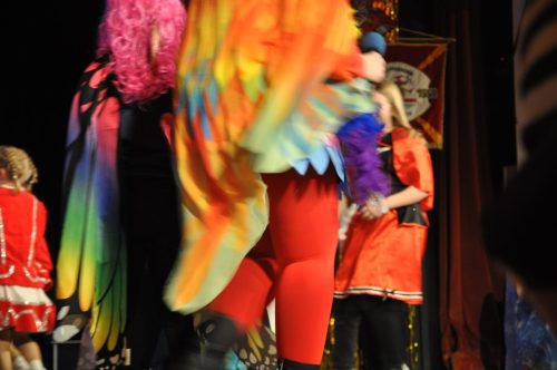 DSC 0587