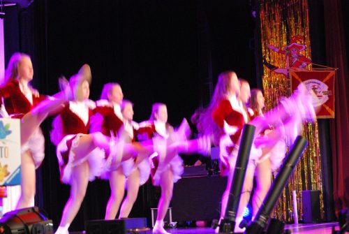 DSC 0329